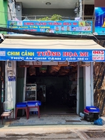 Tưởng Họa Mi 