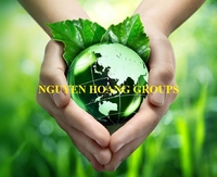 Nguyen Hoang Groups