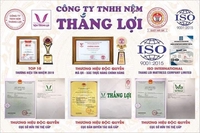 CÔNG TY TNHH NỆM THẮNG LỢI