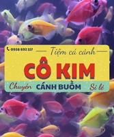 Cô Kim